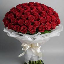 Букет 101 Красная роза Блэк Мэджик в Петухово