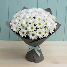 Букет цветов из:  Хризантемы #REPLACE_PRED# Петухово
