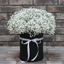 Цветочная композиция из Гипсофила в шляпной коробке в Петухово