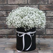 Цветочная композиция из Гипсофила в шляпной коробке в Петухово
