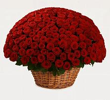 Премиум букет из: Розы в Петухово